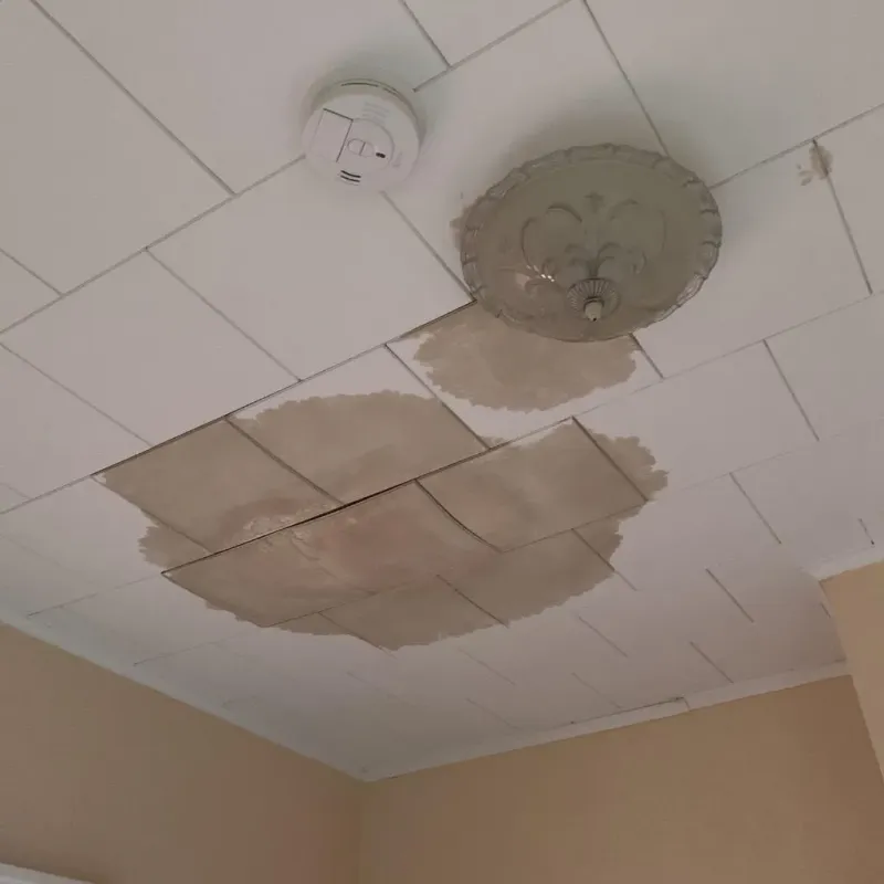Ceiling Water Damage Repair in California, MD