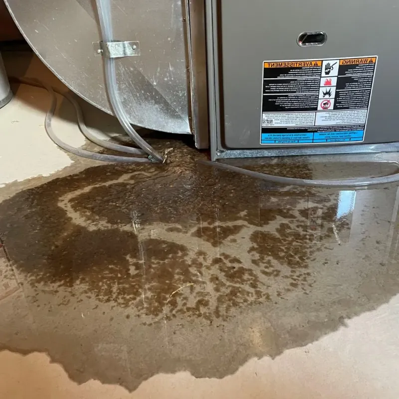 Pipe Burst and Leak Restoration in California, MD