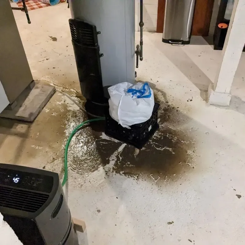 Sewage Backup Cleanup Service in California, MD